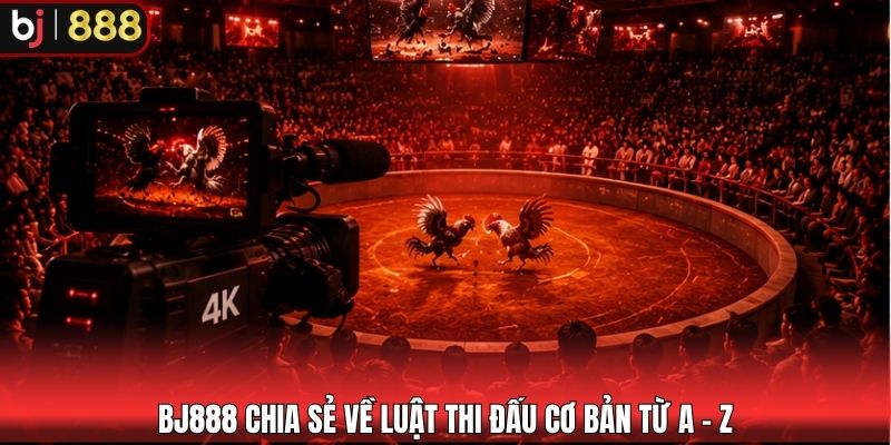 BJ888 chia sẻ về luật thi đấu cơ bản từ A - Z