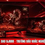Đá Gà Cựa Dao BJ888 - Trường Đấu Khắc Nghiệt Bậc Nhất