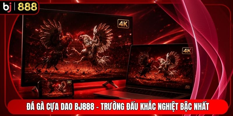 Đá Gà Cựa Dao BJ888 - Trường Đấu Khắc Nghiệt Bậc Nhất