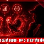 Kinh Nghiệm Đá Gà BJ888 - Top 3+ Bí Kíp Săn Kèo Thắng 90%