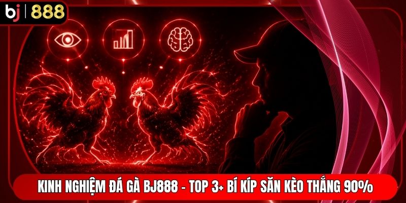 Kinh Nghiệm Đá Gà BJ888 - Top 3+ Bí Kíp Săn Kèo Thắng 90%