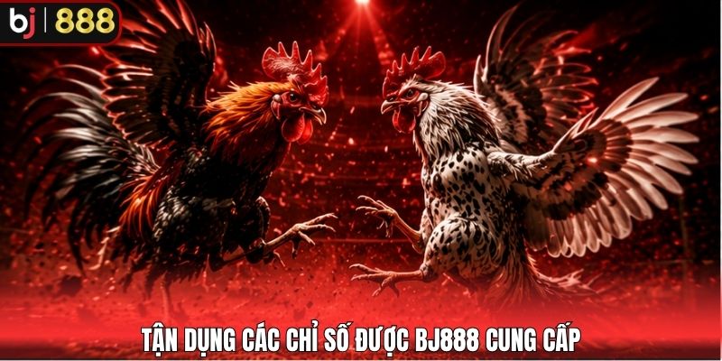 Tận dụng các chỉ số được BJ888 cung cấp