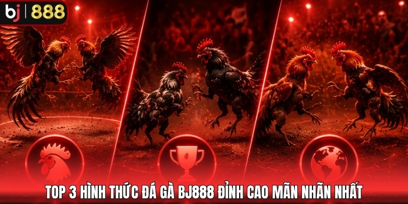 Top 3 hình thức đá gà BJ888 đỉnh cao mãn nhãn nhất