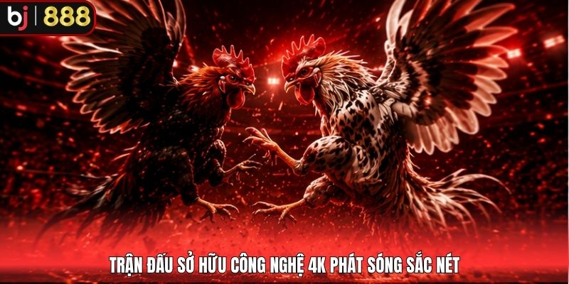 Trận đấu sở hữu công nghệ 4K phát sóng sắc nét